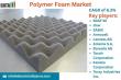 Polymer Foam Market Poised for Remarkable Growth Driven by Sustainability and Lightweight Material Demand 2025