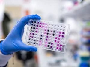 PCR Reagents