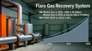 Flare Gas Recovery System