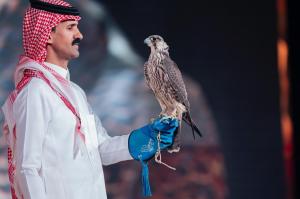 saqr2