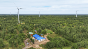 Recently, employees from the State Grid Fuxin Power Supply Company conducted special patrols and thermal inspections on the 10kV Guangzheng Line at the Sihucheng State-Owned Forest Farm in Zhangwu County, Fuxin City, Liaoning Province, ensuring the safe and stable operation of the power grid during winter Drone view of State Grid Fuxin Power Supply Company’s afforestation area with wind turbines and forested landscape.