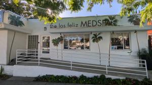 Los Feliz Med Spa Mural