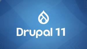 Alliance Interactive, a full-service Drupal development company and digital agency with over 20 years of experience, today announced the launch of its Accelerated Drupal 11 Migration Program, tailored for organizations and nonprofits seeking a secure, future-ready, and search-optimized transition from Drupal 7, 8, 9, or 10 to Drupal 11 Drupal 11 Migration Services