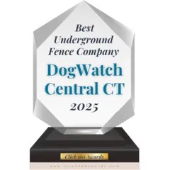 Click360 Award for DogWatch of Central Connecticut