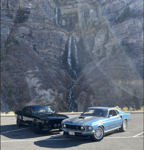 Cool Blue Electric Mustan
