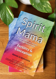 Spirit Mama: A More Conscious Journey Through Motherhood - Revealing the Missing Piece in the Fertility Crisis