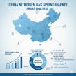 Shift, grow from USD 259.2 Million to USD 591.4 Million at 8.6% CAGR in China Nitrogen Gas Springs Market Share Analysis