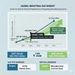 Industrial Gas Market to Hit USD 171.0 Billion by 2035 — Growth Accelerates at 7.8% CAGR with USD 87.3 Billion 