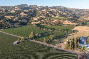 The Wine Country Estate - Geyserville, CA