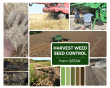 GROW Network Releases New Resource on Harvest Weed Seed Control