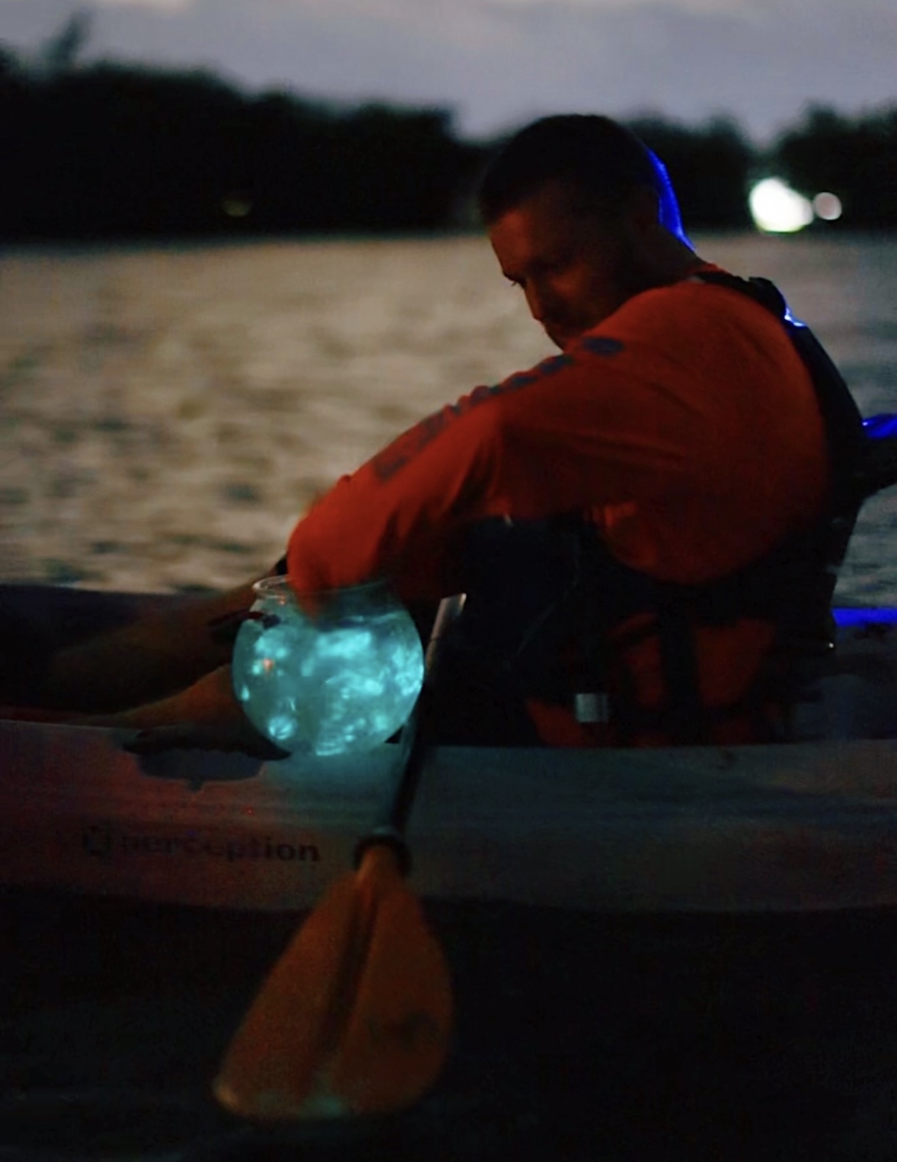 October New Moon Could Bring Rare ‘Double Bioluminescence’ to Florida’s Space Coast