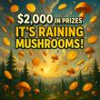 Canadian Mushroom Company Announces $2,000 Holiday Giveaway