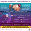 Chinese Neurosurgical Journal Study Explores the Role of Aging‑Related Genes in Intracranial Aneurysms