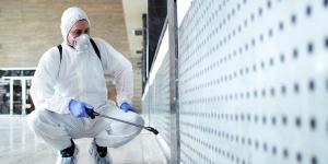 mold testing services near Castle Pines, CO