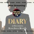 Amplified Voices Acquires Streaming Rights to 'Diary of Successful Black Single Mothers'