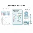 Radioimmunoassay Market Soars: Innovations Driving Precision Diagnostics in 2025 | DataM Intelligence