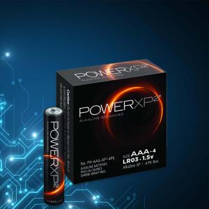 AAA PowerXP2 Battery