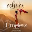 New visionary fiction novel Echoes of the Timeless explores awakening, healing, and human consciousness