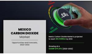 Mexico Carbon Dioxide Market CAGR