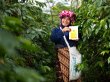 From Gender Equity to Carbon Tracking: KOLTIVA, with Unilever, FCDO, and EY, Helps Sugata Transform Cocoa Supply Chain