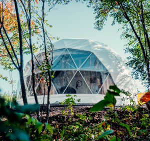 Geodesic Domes
