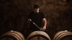 DeLossy-BARRELTEST