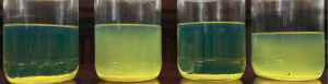 Diesel Quality Technology & Solutions (DQT&S) has completed testing, verification and third round of projects with fuel companies in Europe and Africa; including a project that removed 1500 liters of water from 30,000 liters of diesel restoring it back to EN590 salable quality Clean diesel DQT