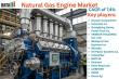 Natural Gas Engine Market Set for Massive Growth Driven by Efficiency & Sustainability Trends 2025 | DataM Intelligence