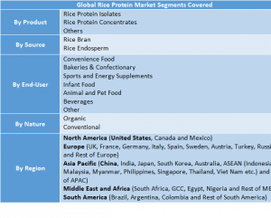 Rice Protein Market 1