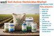 Soil Active Herbicides Market Growth Soars Amid Rising Crop Protection Demand 2025 | DataM Intelligence