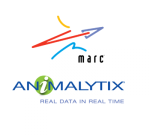 M/A/R/C Research and Animalytix
