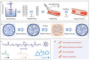 Overview of the micelle-enhanced 4D-printed polymer stent system.