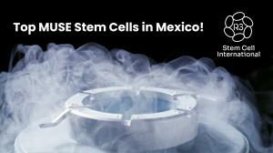 MUSE Stem Cells in Mexico