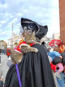 Gigia a piazza San Marco durante Carnevale di Venezia con un amante di gatto mascherato