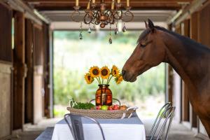 The Ranch at Mt. Laurel, Kerhonkson, NY — A Modern Hudson Valley Retreat with Timeless Charm