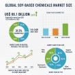 Global and European Soy-based Chemical Market Outlook 2025–2035