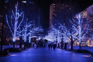 Yokohama Milight 2025 — The City of Light