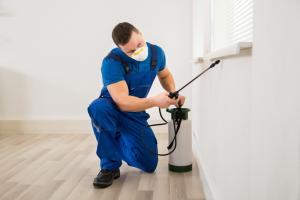 Pest Control Services in Tampa