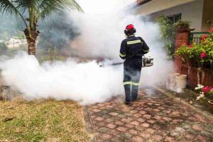 residential pest control in Tampa