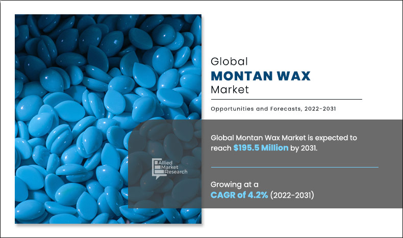 Montan Wax Market Overview: Drivers, Challenges, and Growth Forecast, 2031