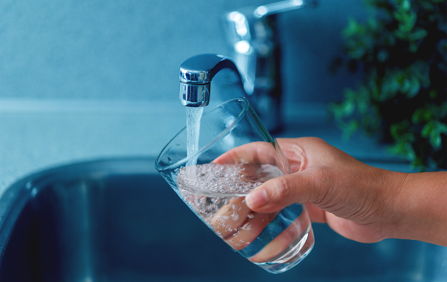 Westwood Shores MUD, Texas, Launches Lead Service Line Identification Project