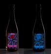 DEVANT CHAMPAGNE UNVEILS THE WORLD’S FIRST FULLY INTERACTIVE LUMINOUS LABELS