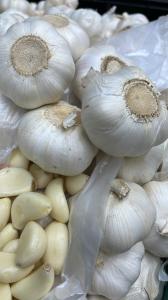Garlic extract demonstrates antimicrobial efficacy comparable to other widely used antiseptics and disinfectants, such as chlorhexidine, according to University of Sharjah medical scientists Garlic as mouthwash