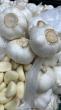 Garlic shows promise as a mouthwash alternative to standard chemical compounds, say scientists
