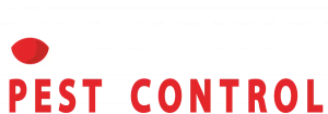 Optimum Pest Control Provides Trusted Pest Control Services Across Long Island 16 optimum pest control NYC