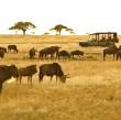Tanzania Safaris Redefines Luxury Travel