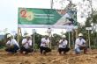Indonesia’s BJA Group Plants 20 Millionth Gliricidia Tree in Push for Deforestation-Free Biomass
