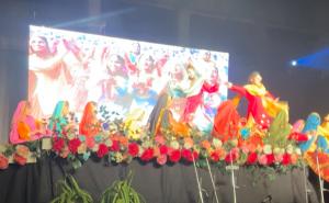 ckds3