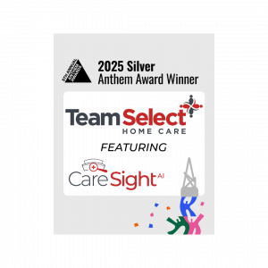 Team Select WINS Silver