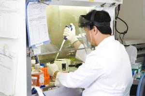 Working on samples in the CLIA Lab at NCI